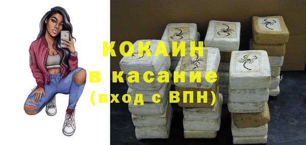 шишки Пересвет