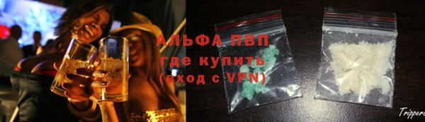 шишки Пересвет
