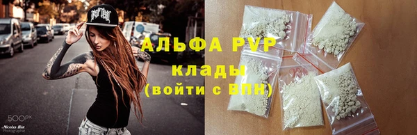 винт Абаза