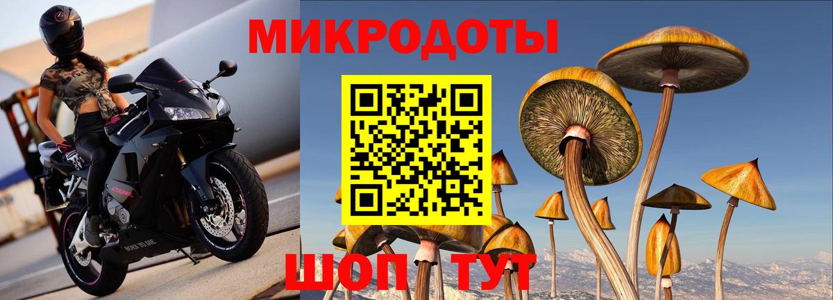 Псилоцибиновые грибы ЛСД Кимовск