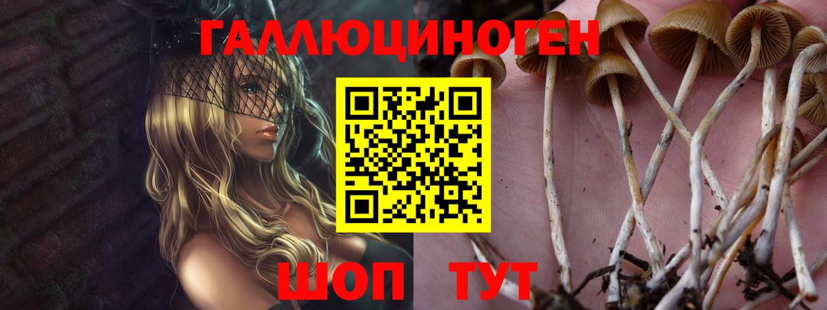 Псилоцибиновые грибы Psilocybine cubensis  Вход с VPN  Кимовск 